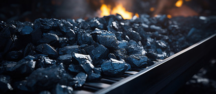 Black Mineral Coal Trading - Best Charcoal and Coal Supplier